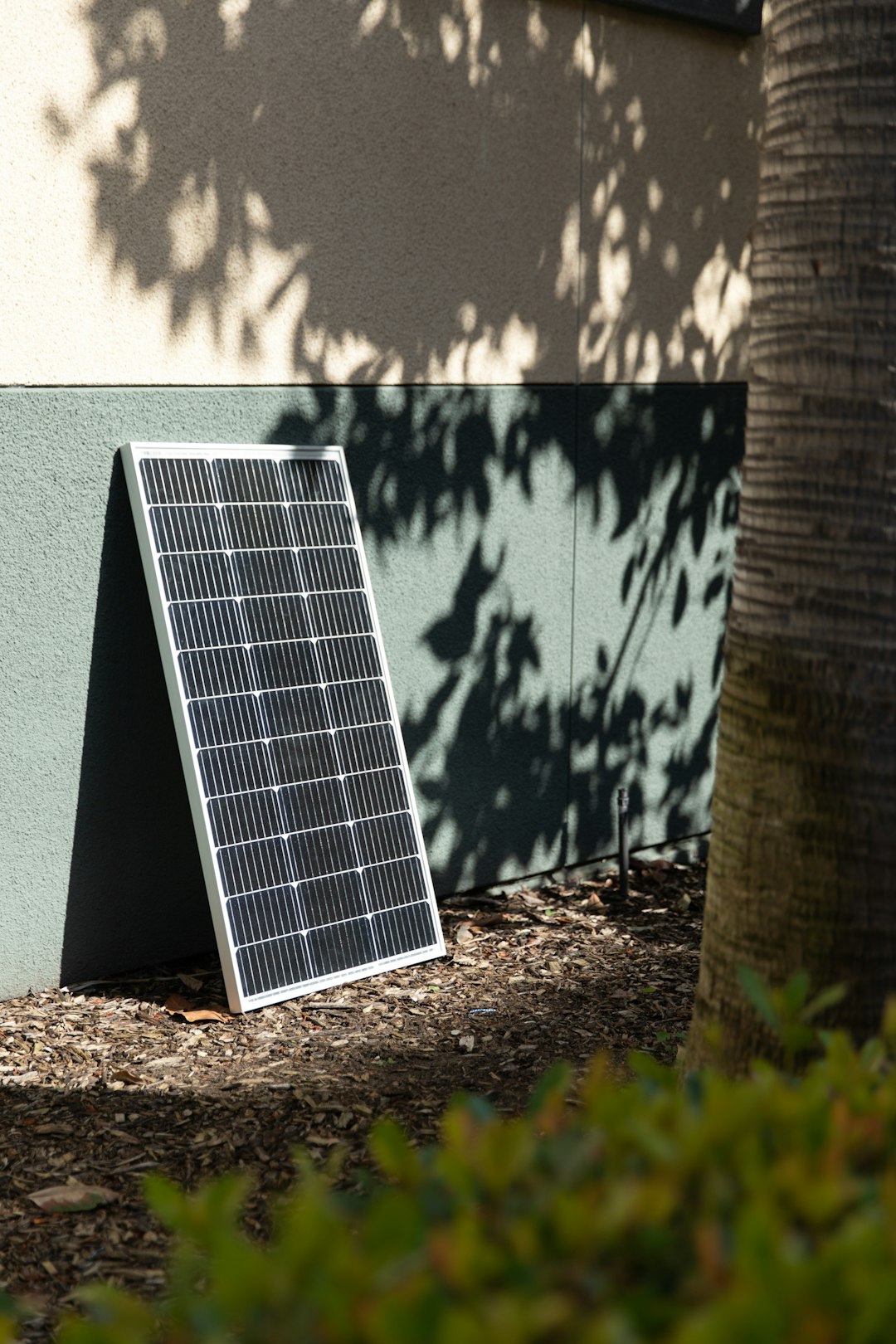 services-03 a-solar-panel-sitting-next-to-a-tree-bt6bgci-8uo